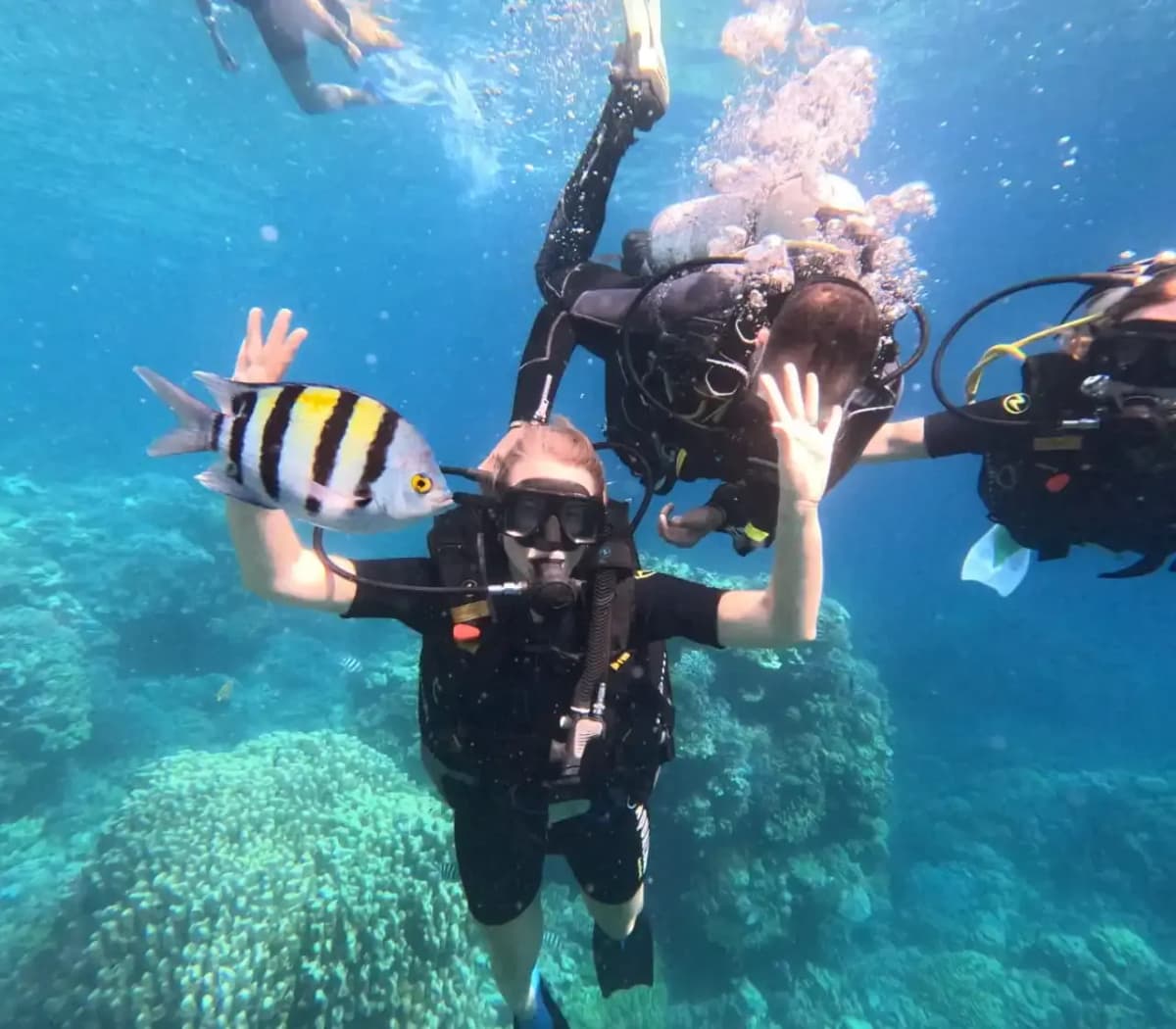 diving img