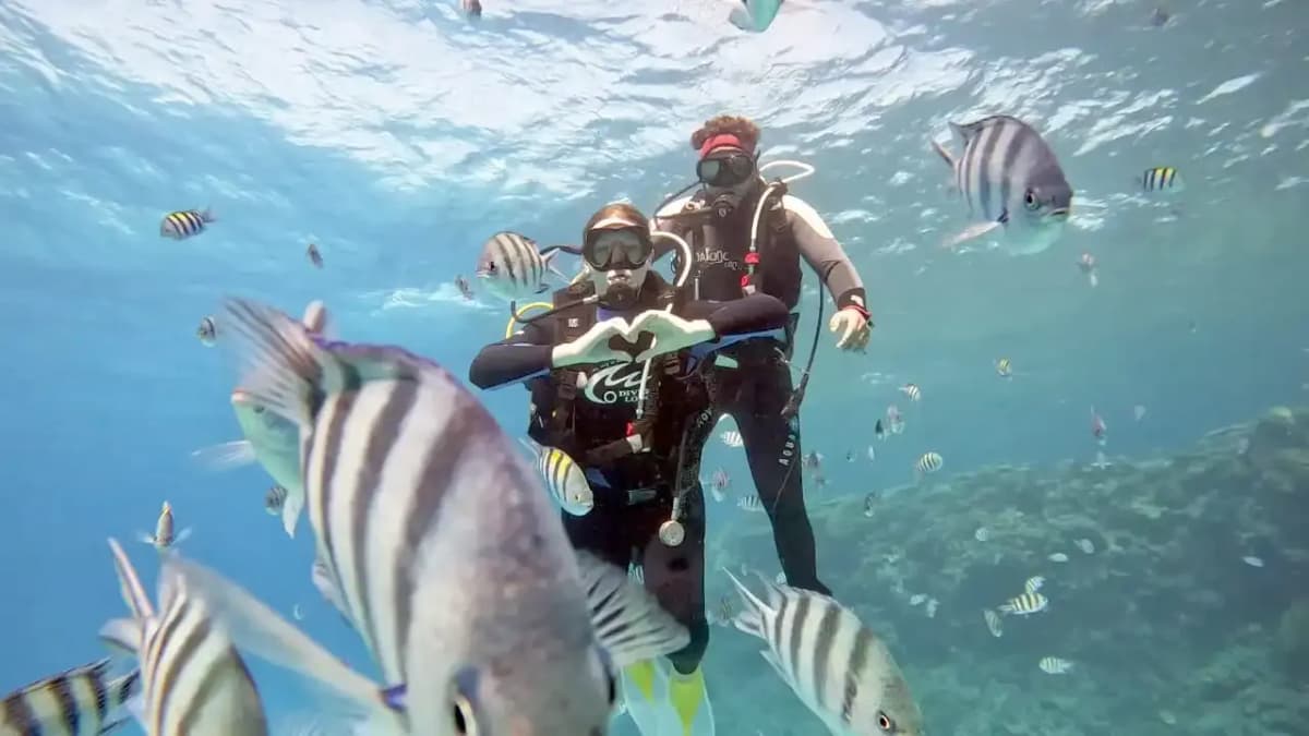 diving img